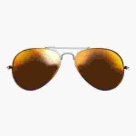 Polarized Sunglass